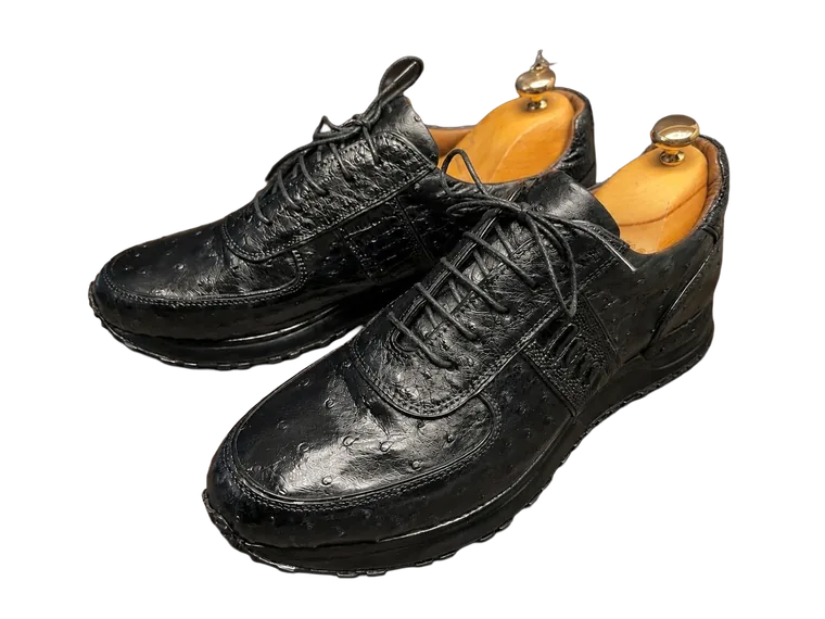 Onyx Ostrich